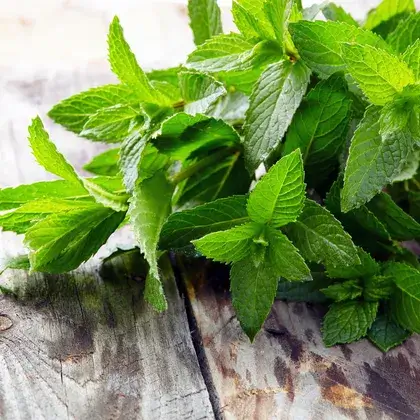 #4. Листья мяты перечной